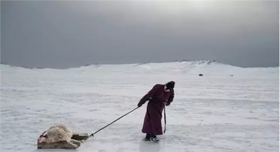 传统的广告行业在经历寒冬，只有户外广告最争气  
