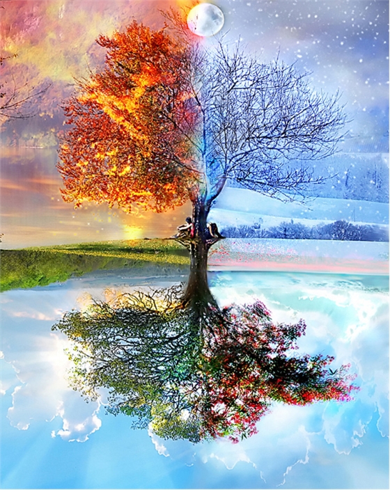 朋友圈晒雪哪家强？这些“文艺”文案助你站上顶端