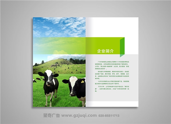 广州品牌画册设计公司 广州品牌画册设计公司