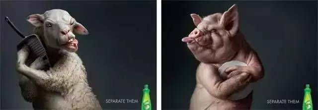 创意设计 创意设计