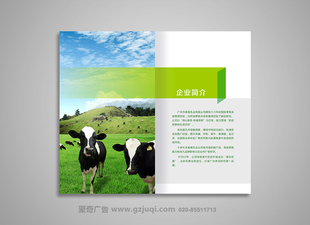 广州品牌画册设计公司 广州品牌画册设计公司